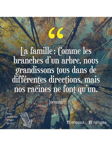 Gravillons - fiche test