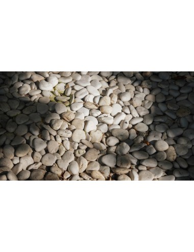 Graviers blancs décoratifs